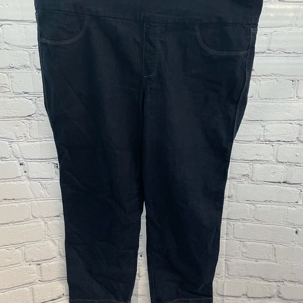 Style and co jeggings